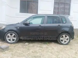 Mazda Demio 2005 Gray