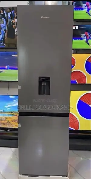 Hisense Fridge Rd35 (264l)