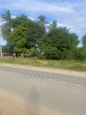 1 Acre Commercial Plot Inauzwa Mwanagati
