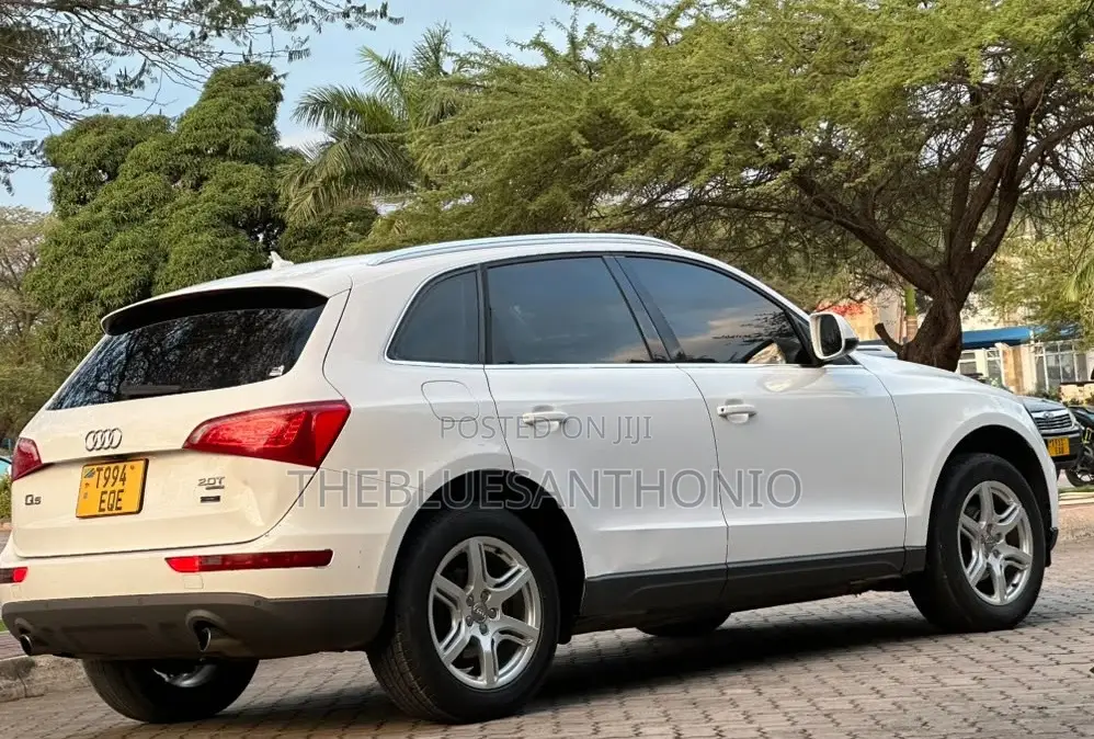 Audi Q5 2010 White