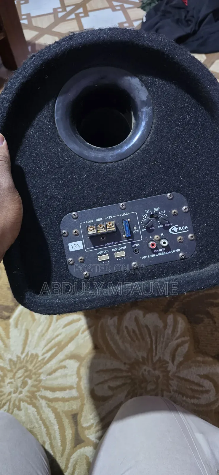 Car Subwoofer
