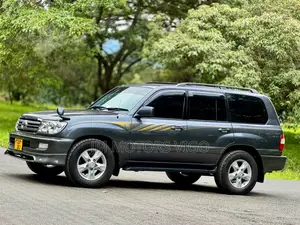 Toyota Land Cruiser 2004 Gray