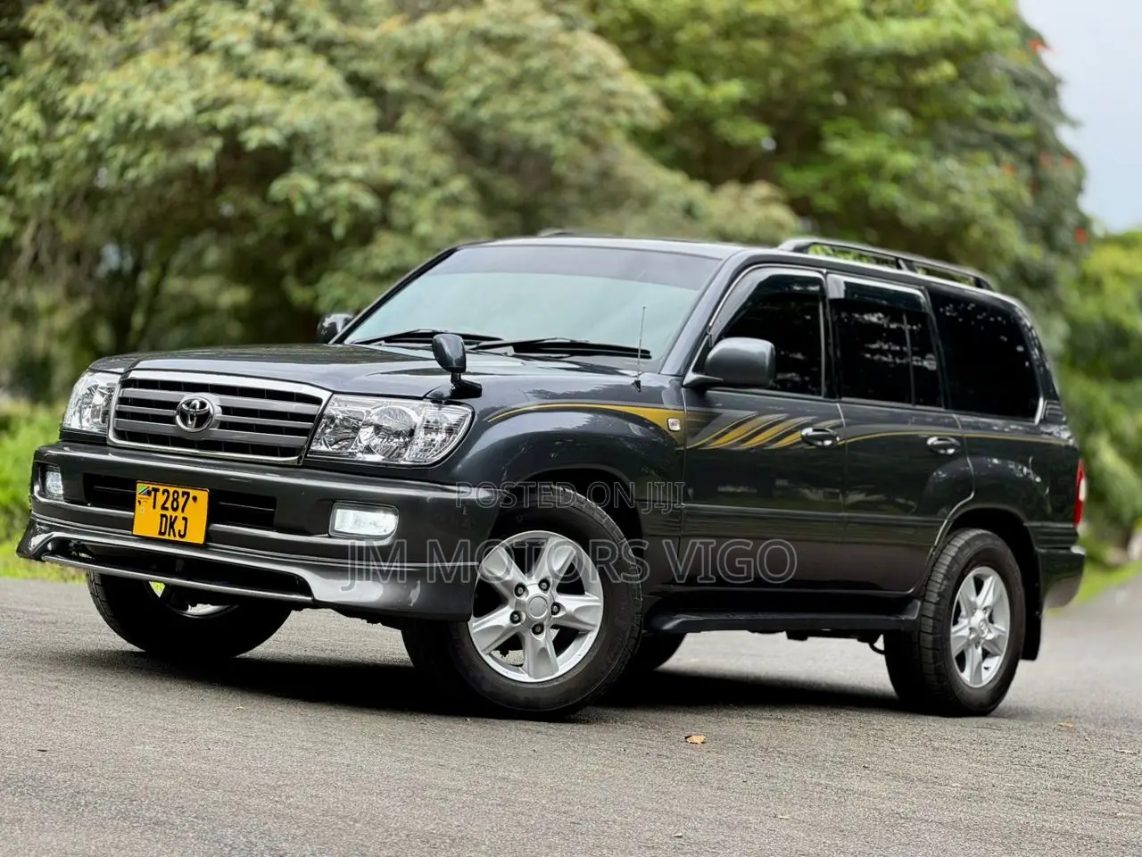 Toyota Land Cruiser 2004 Gray