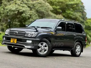 Toyota Land Cruiser 2004 Gray