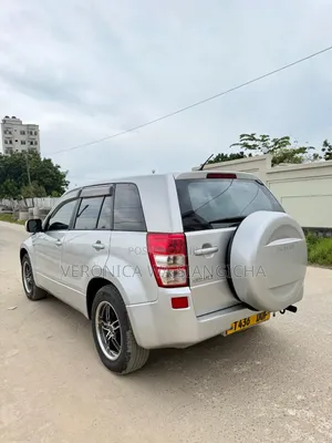 Suzuki Grand Vitara 2009 Silver