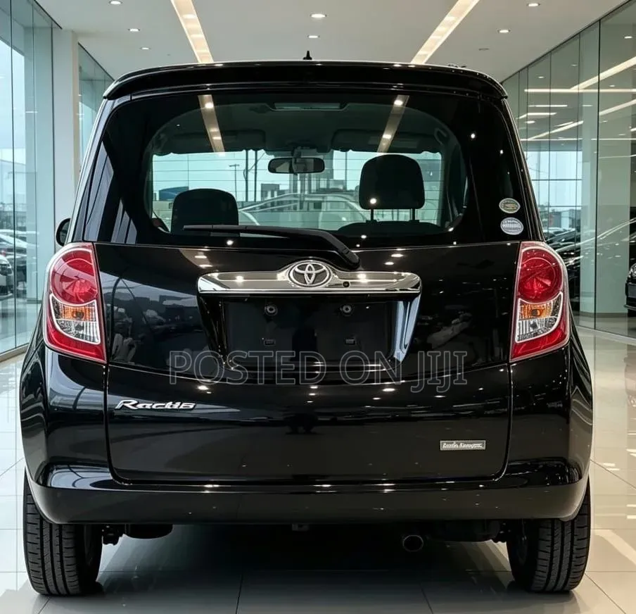 Toyota Ractis 2009 Black