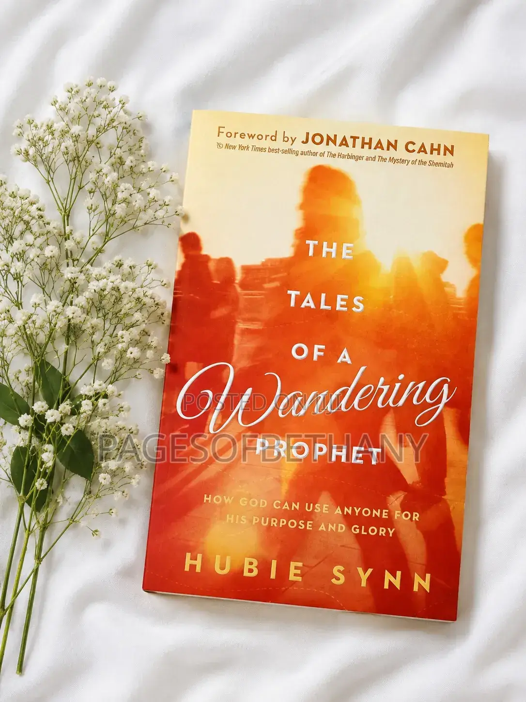 The Tales of a Wandering Prophet -Stop Running From God Dear Jonah 
