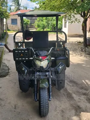 New Bajaj 2025 Green