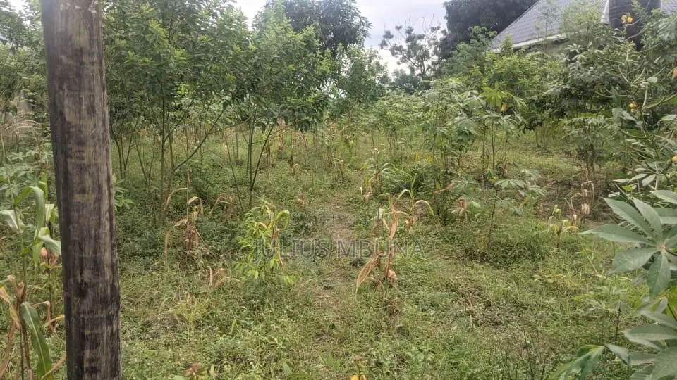 Kiwanja Kinauzwa-Kibanda Cha Mkaa- Karibu Na Msikiti Wa Abbas