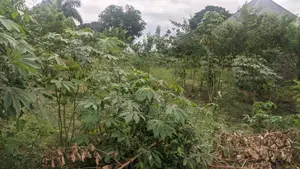 Kiwanja Kinauzwa-Kibanda Cha Mkaa- Karibu Na Msikiti Wa Abbas