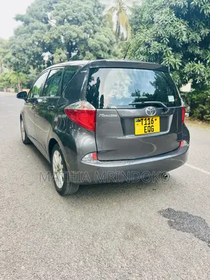Toyota Ractis 2011 Gray