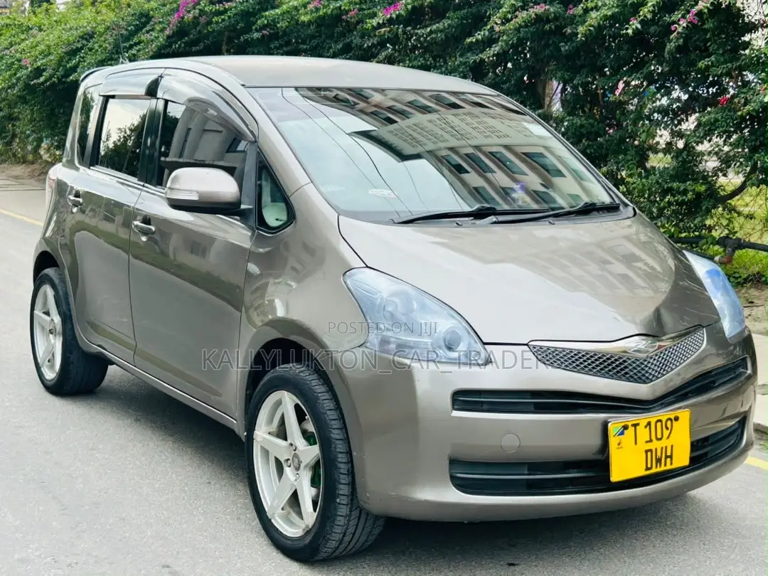 Toyota Ractis 2009 Gray