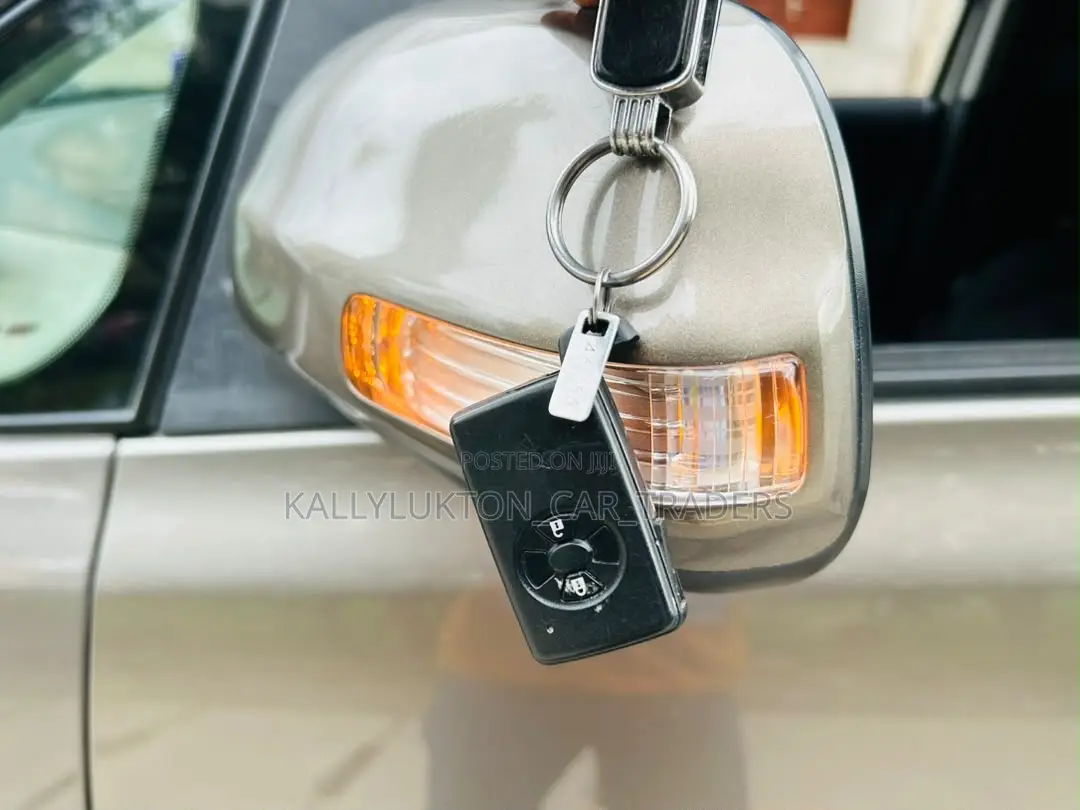 Toyota Ractis 2009 Gray