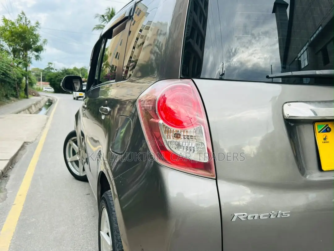 Toyota Ractis 2009 Gray