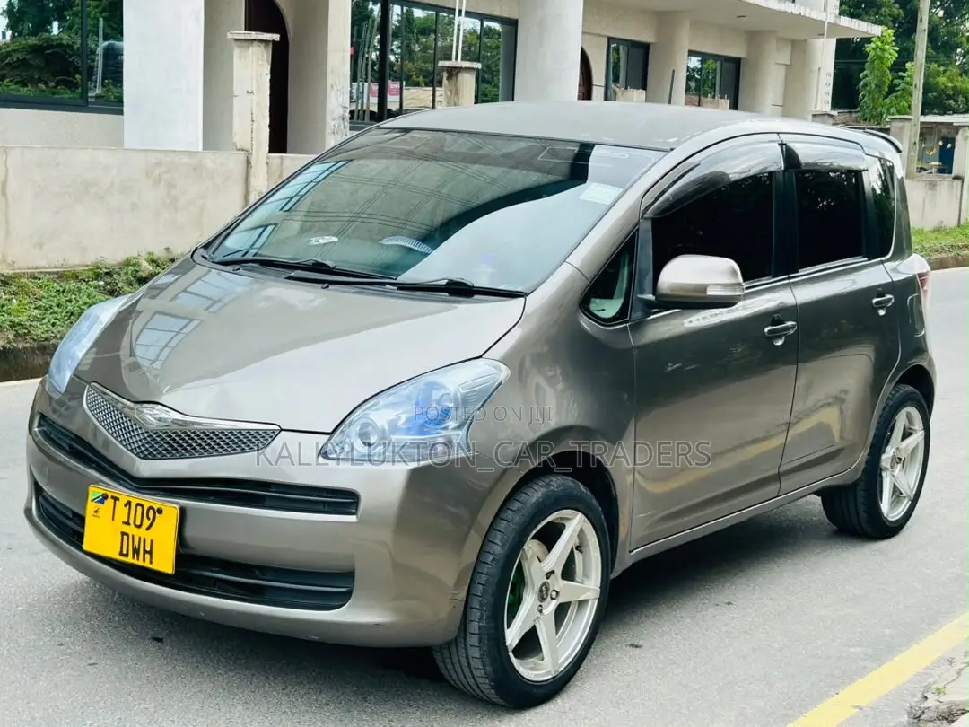 Toyota Ractis 2009 Gray