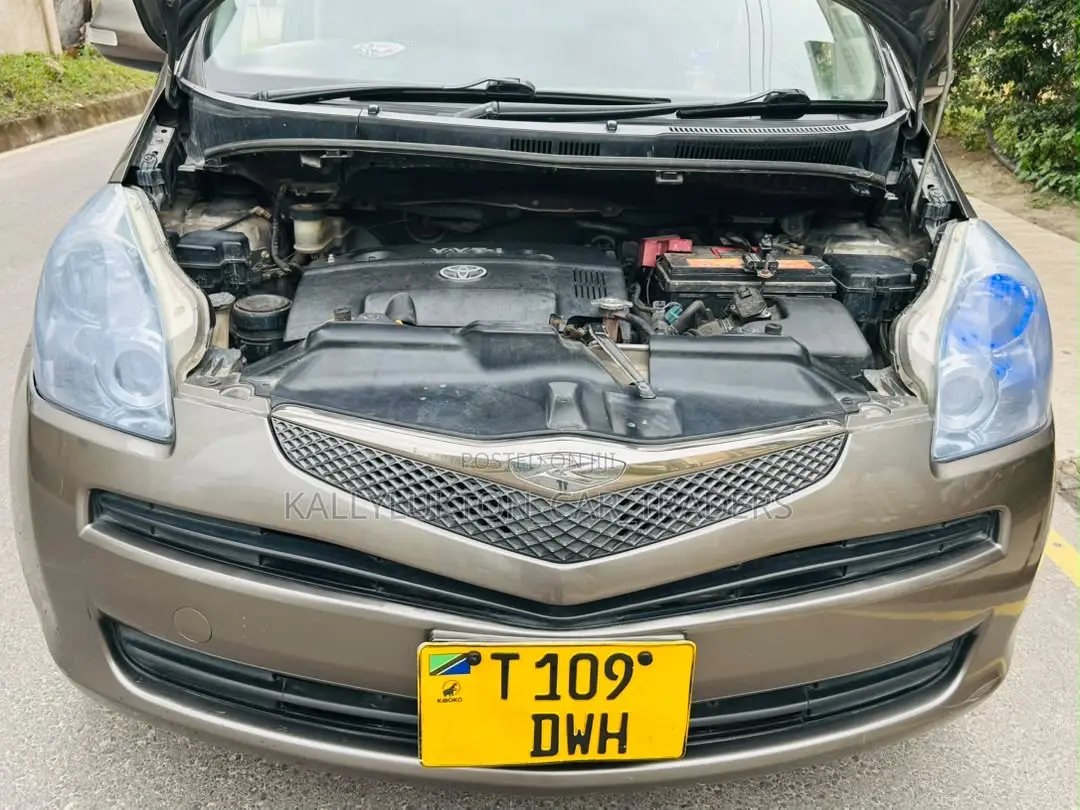 Toyota Ractis 2009 Gray