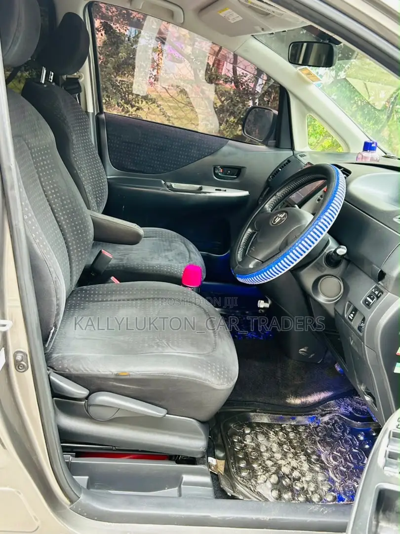 Toyota Ractis 2009 Gray