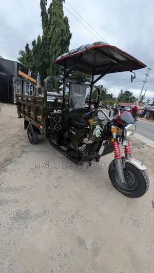 Focin 2025 Green