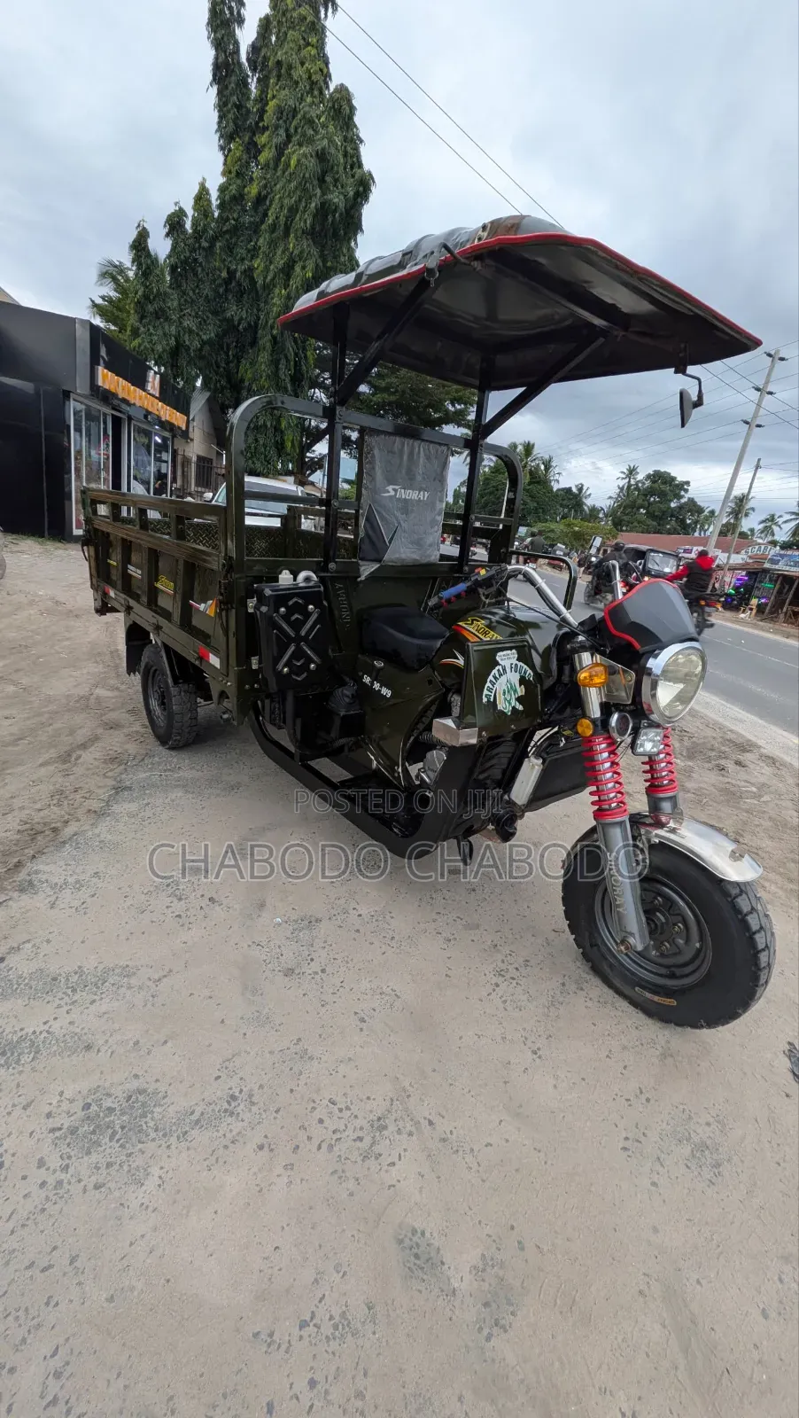 Focin 2025 Green