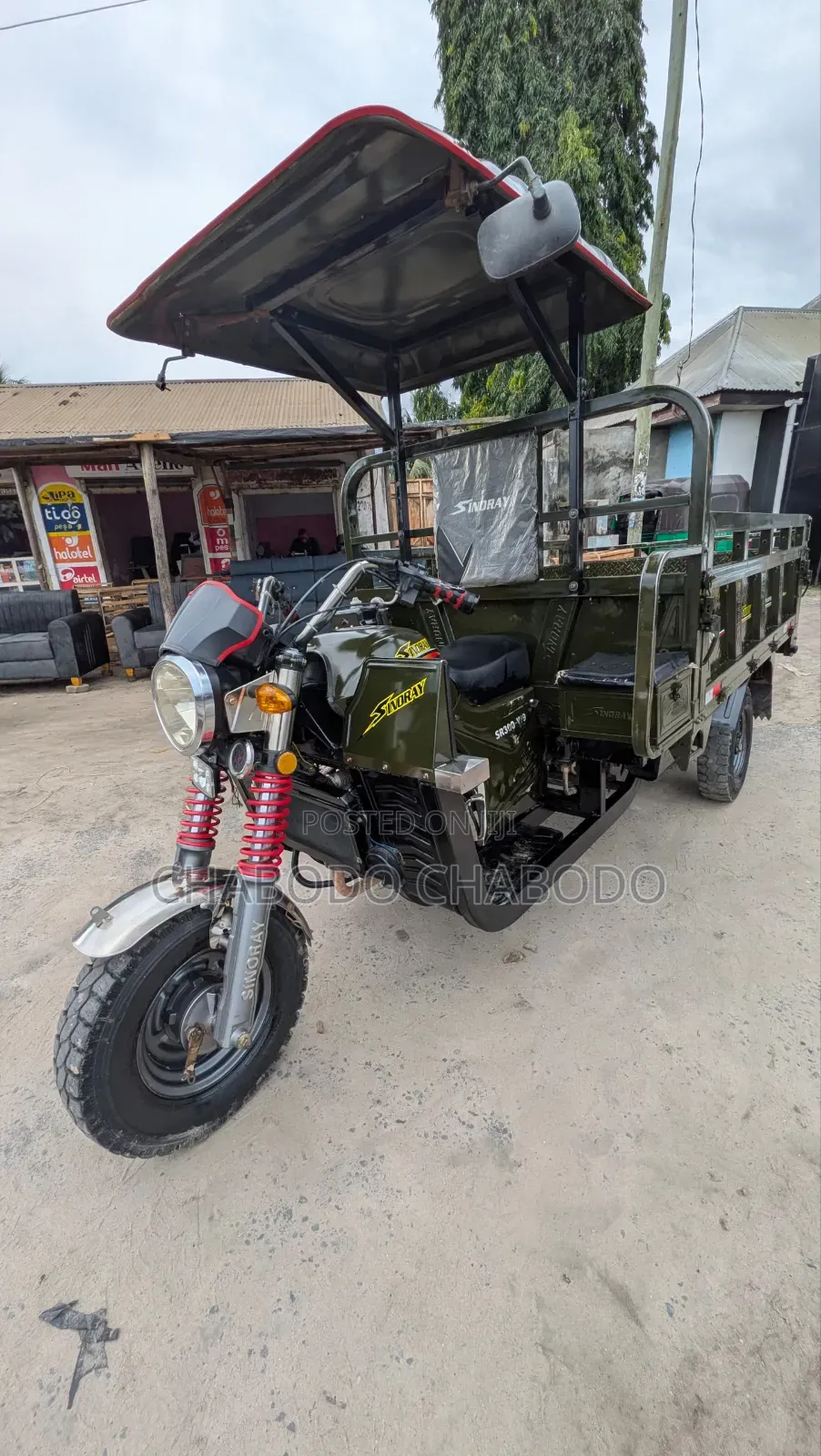 Focin 2025 Green