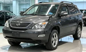 Toyota Harrier 2005 Gray