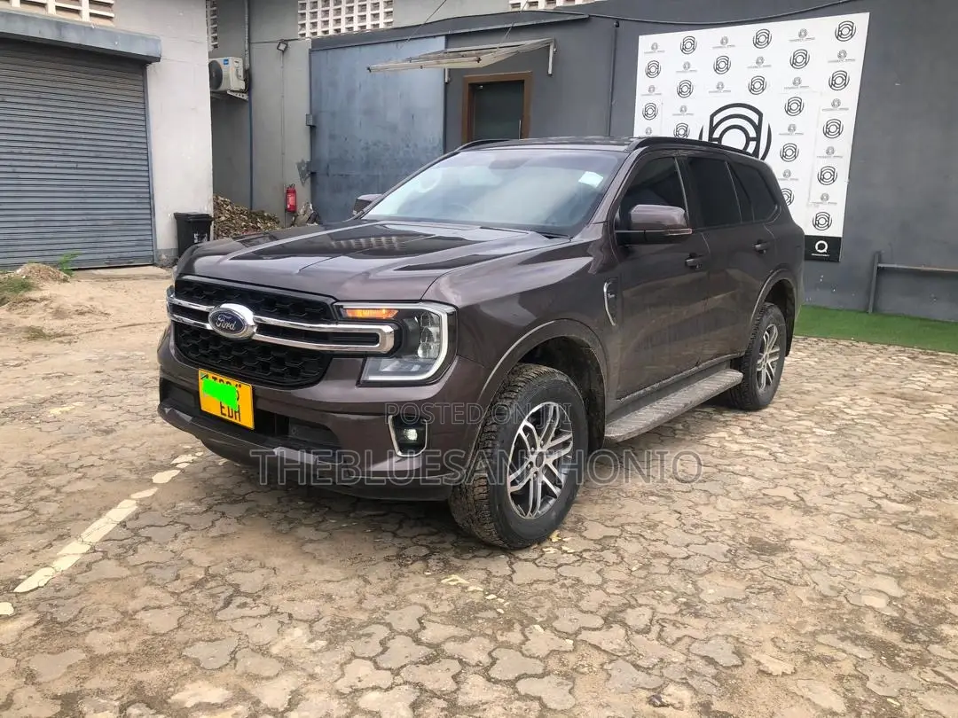 Ford Everest 2023 Gray