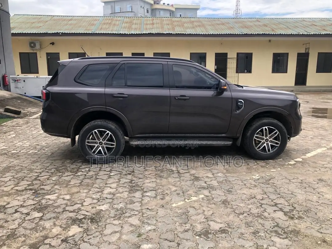 Ford Everest 2023 Gray