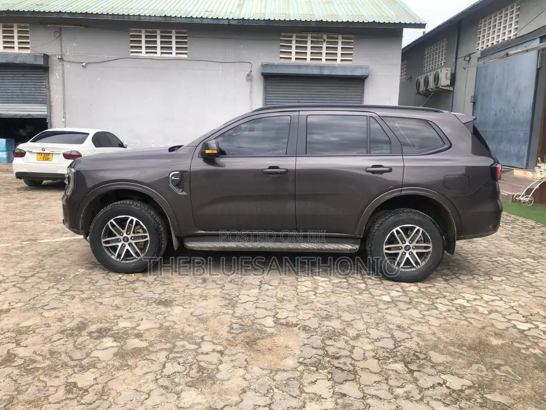 Ford Everest 2023 Gray
