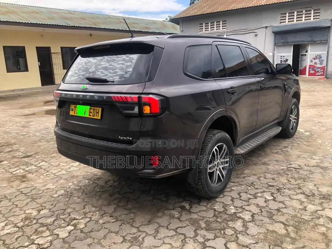 Ford Everest 2023 Gray