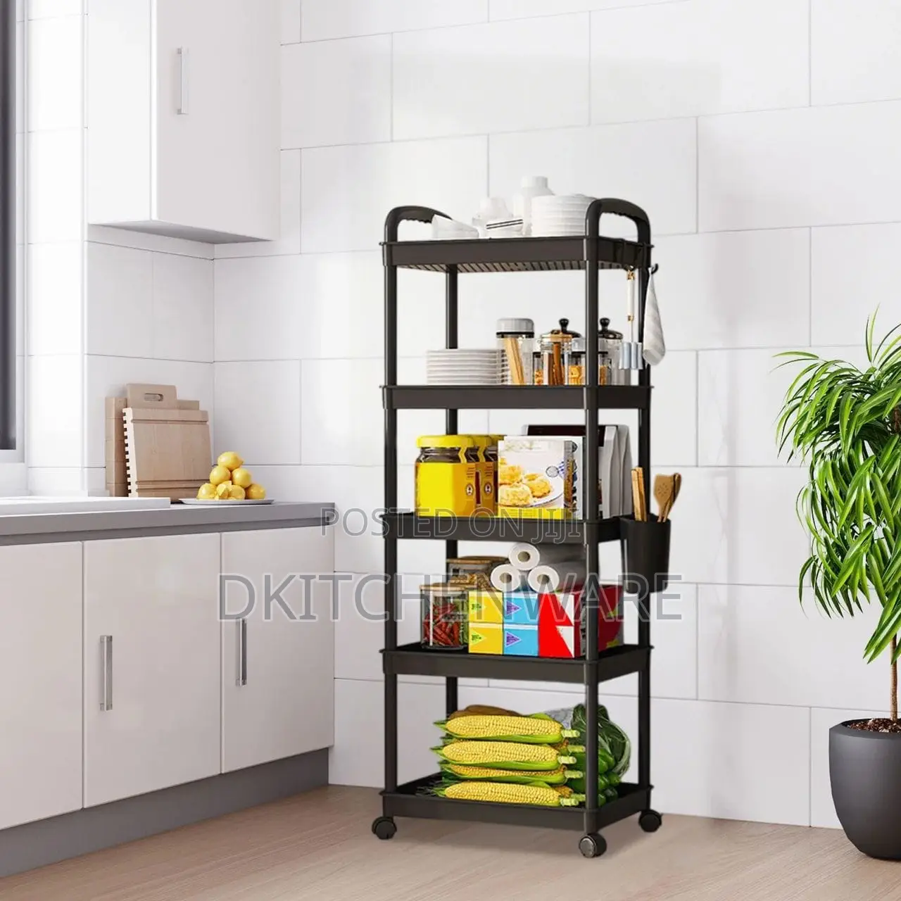 Mult-Function Ground Storage Rack