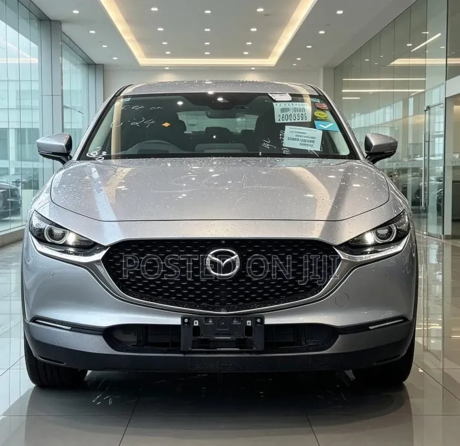 Mazda CX-30 2019 Gray