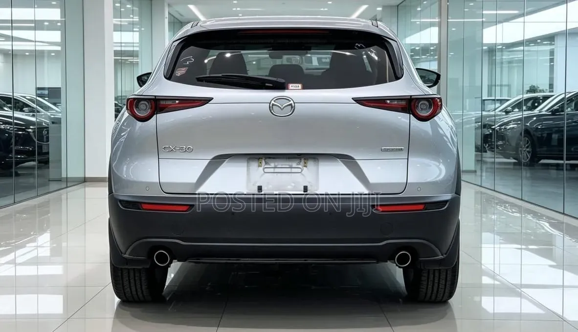 Mazda CX-30 2019 Gray