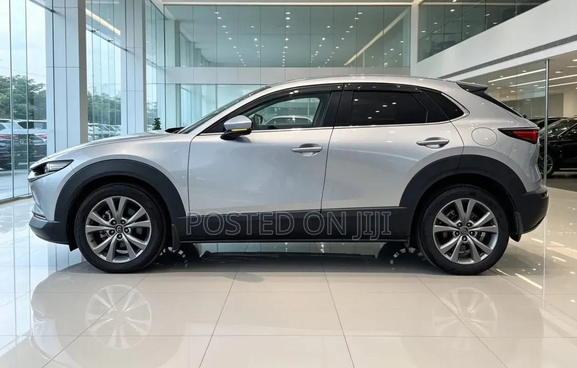 Mazda CX-30 2019 Gray