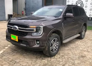 Ford Everest 2023 Gray