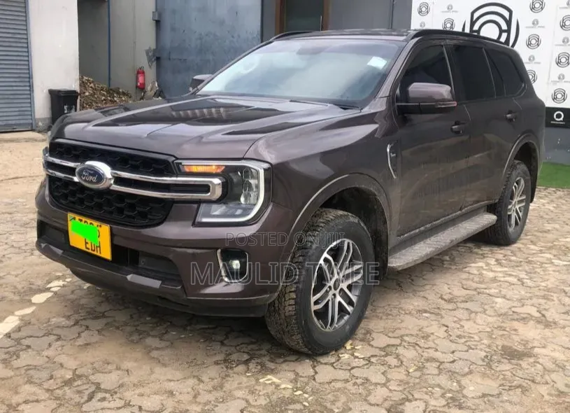 Ford Everest 2023 Gray