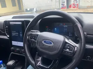 Ford Everest 2023 Gray