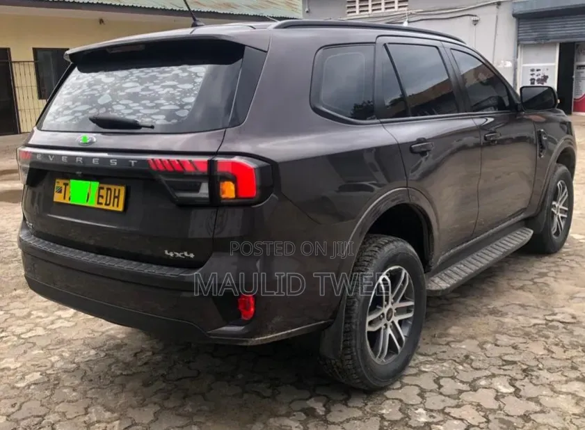Ford Everest 2023 Gray