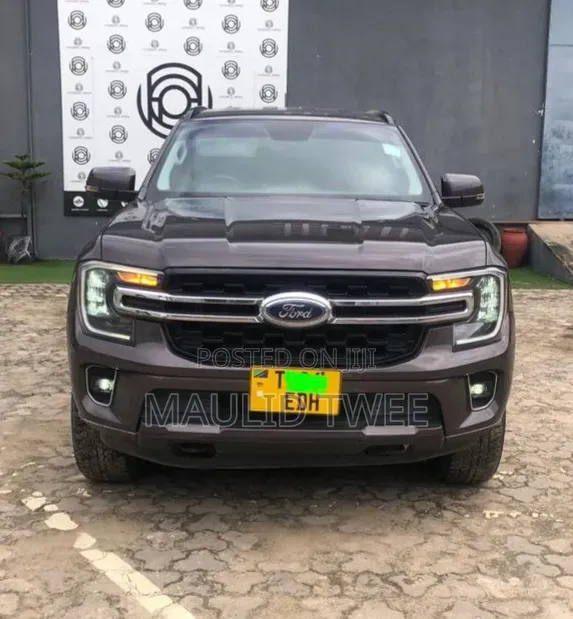 Ford Everest 2023 Gray