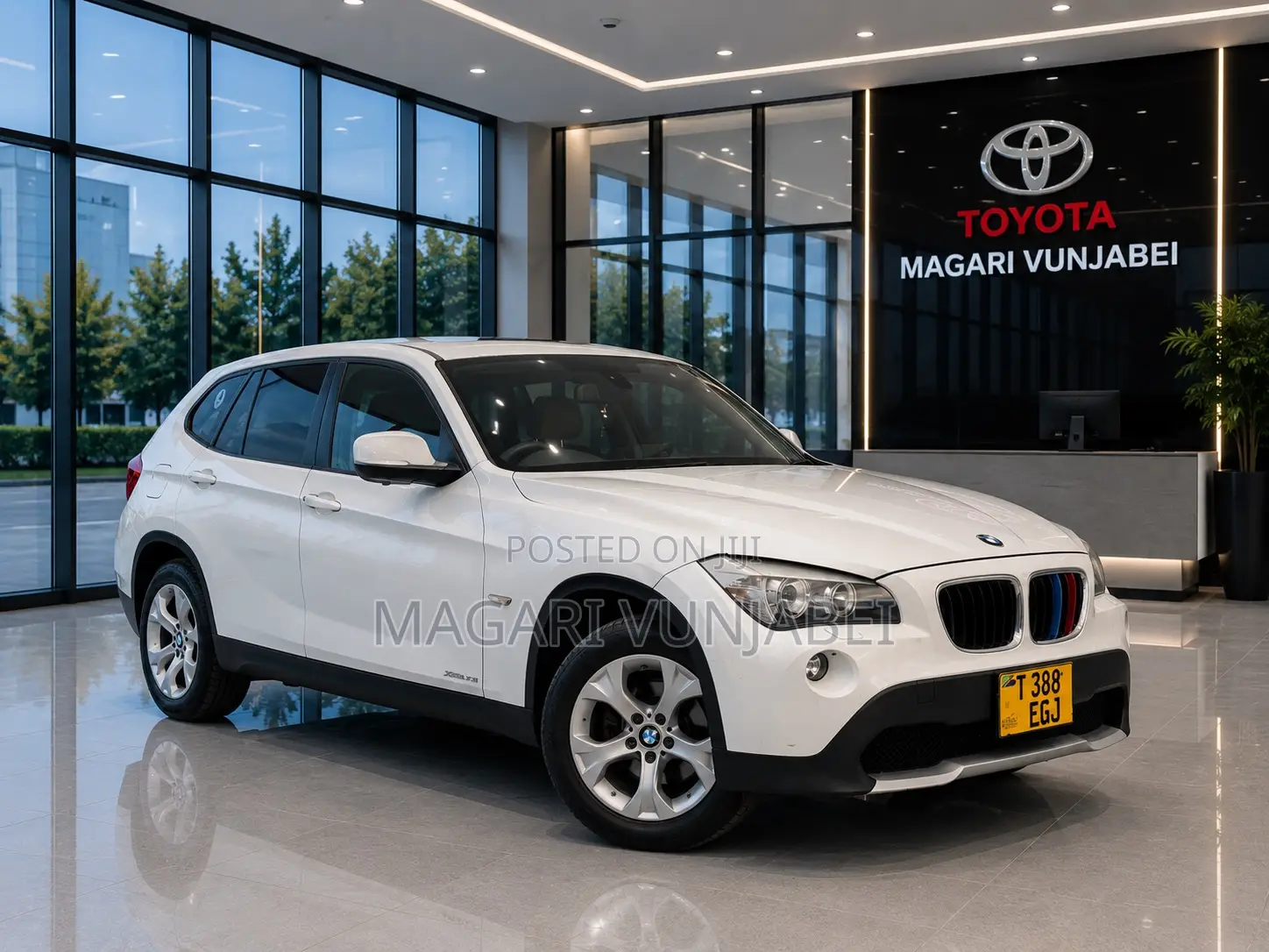 BMW X1 2012 Pearl