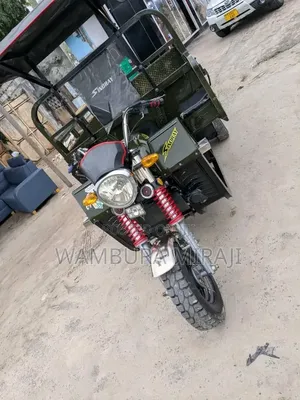 New Bajaj 2025 Green