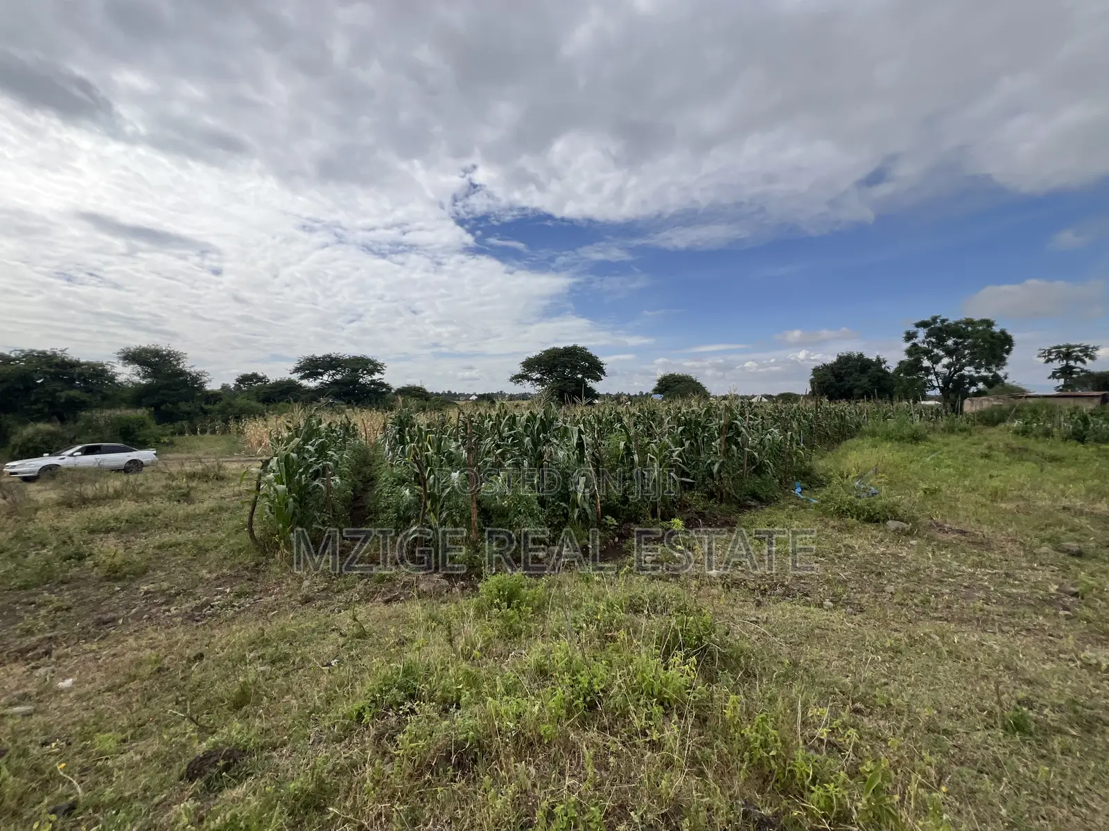 Shamba La Ekari 58 Lenye Mto Sanya Linauzwa Boma Ng'ombe Kwa Wasomali