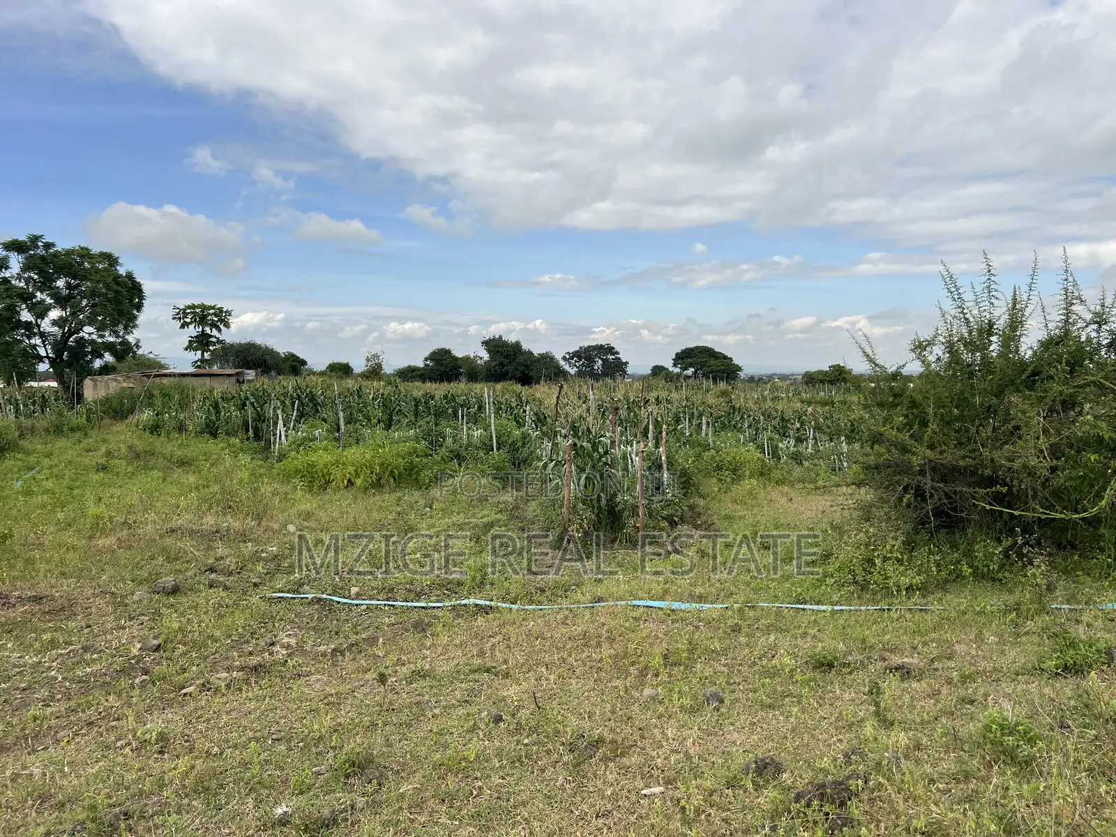 Shamba La Ekari 58 Lenye Mto Sanya Linauzwa Boma Ng'ombe Kwa Wasomali