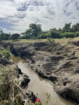 Shamba La Ekari 58 Lenye Mto Sanya Linauzwa Boma Ng'ombe Kwa Wasomali