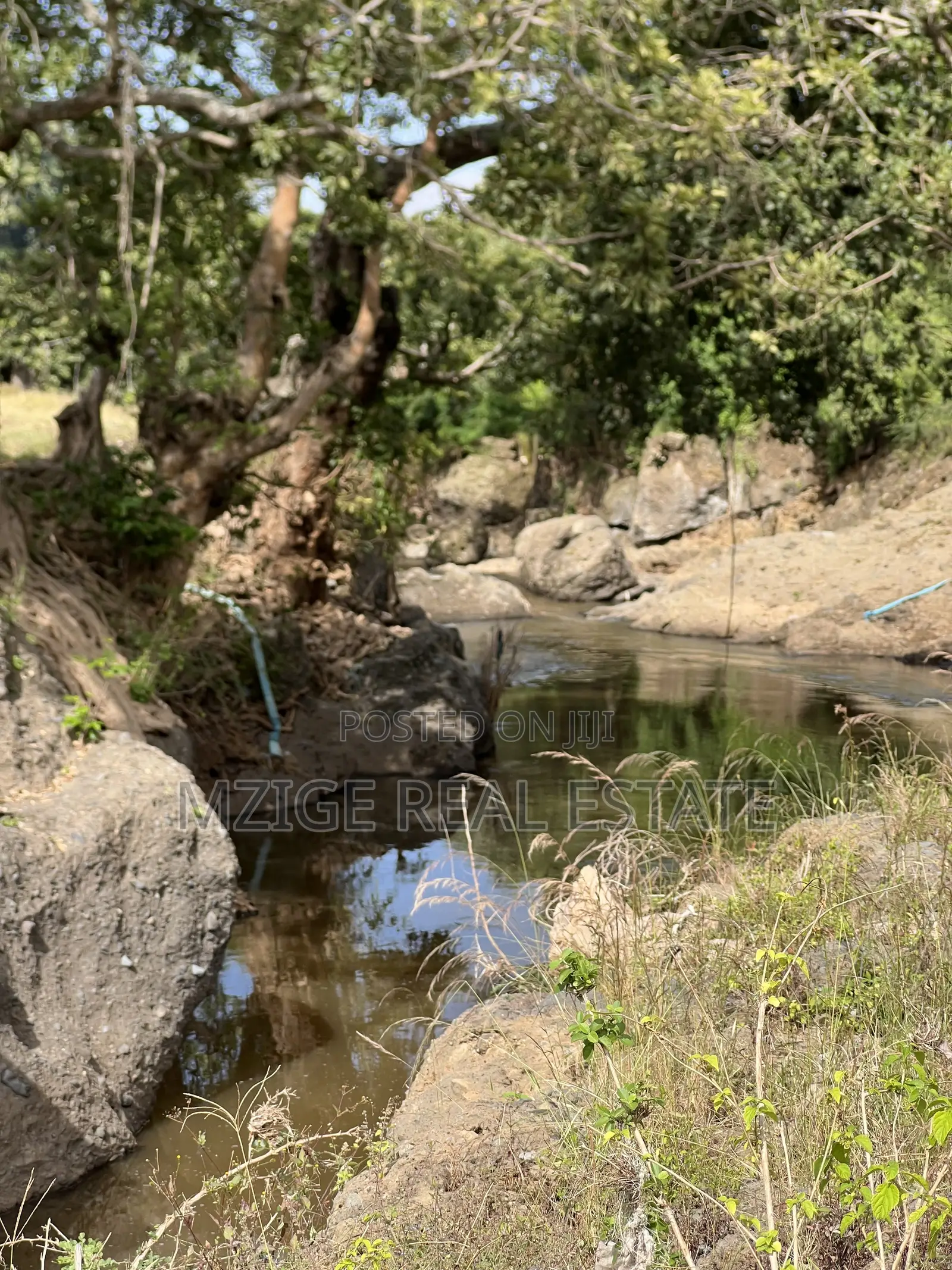 Shamba La Ekari 58 Lenye Mto Sanya Linauzwa Boma Ng'ombe Kwa Wasomali