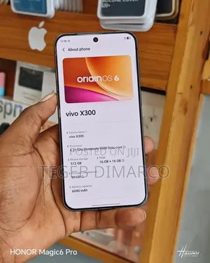 Vivo X300 512 GB Gray
