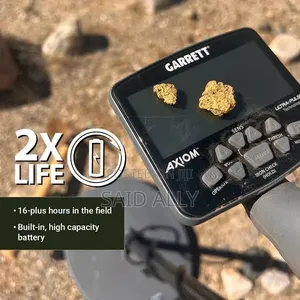 Axiom Gold Metal Detector