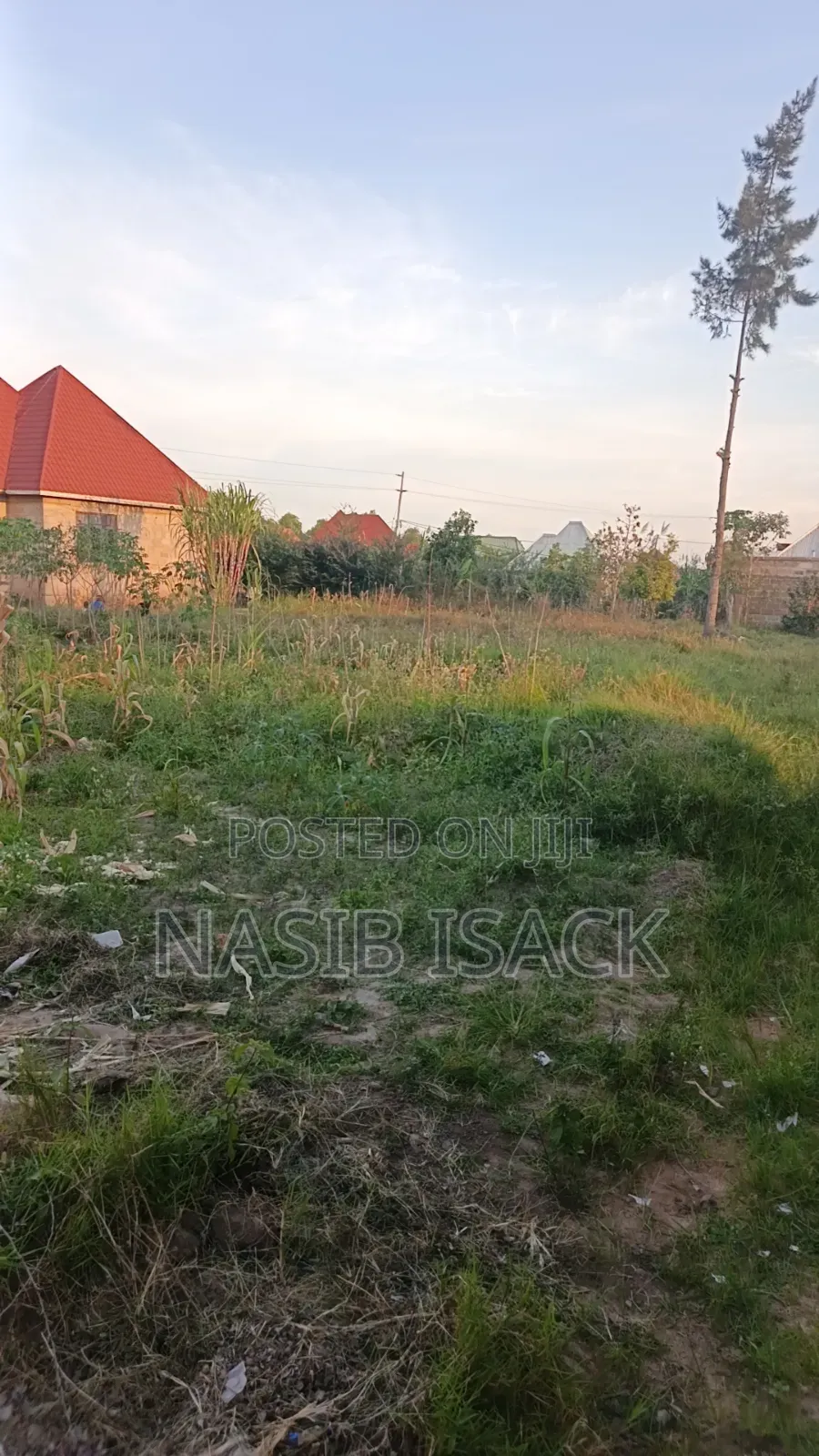 Plot for Sale Nyamhoro