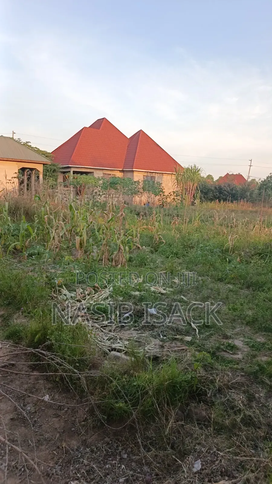 Plot for Sale Nyamhoro