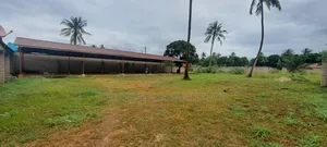 Yard for Rent at Bunju