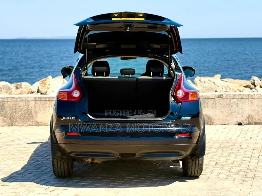 Nissan Juke 2011 Black
